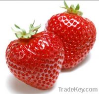 Strawberry extract