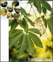 Horse Chestnut extract