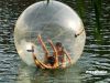 Sell water ball/water walking ball/walk on water with highest quality
