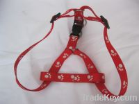 Sell  pet collar