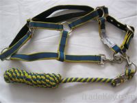 Sell secure harness