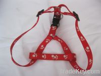 Sell beautiful and high-quality pet rope
