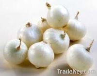 Fresh Onion and garlic