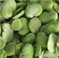 Sell frozen broad beans kernel