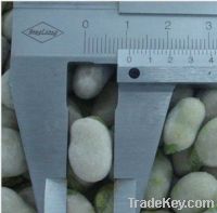Sell Frozen baby broad beans