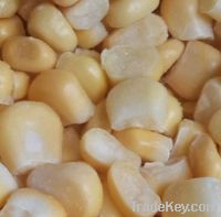 sell IQF sweet corn kernel