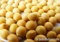Sell Soybean extract (Isoflavones)