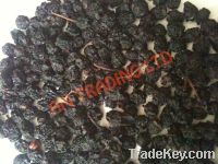 Sell Dried Bilberry fruits