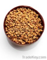 Fenugreek INDIA Origin