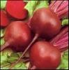 Beet Root Color