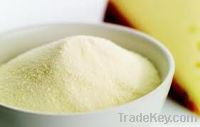 Whey Powder