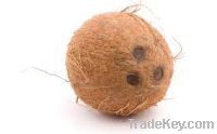 whole coconuts