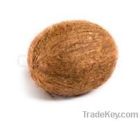 dry coconut