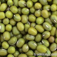 Sell Green Mung Beans