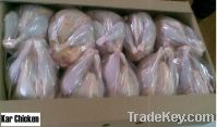 Sell halal frozen whole chicken