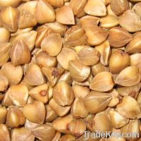 Sell Crop 2012 buckwheat kernel