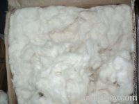 Sell White Cotton Waste