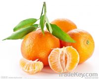 Orange Juice Powder--pure natural--100% water soluble--GMO FREE