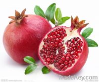100% Natural! - Pomegranate Juice Powder--Free Sample-GMO free