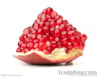 Hot!-Pomegranate Extract Powder-40% Ellagic Acid-HPLC-GMO FREE