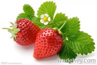 Strawberry Juice Powder-Good flavor-100% water soluble-pure natural
