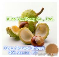 Free Sample-Horse Chestnut Extract Powder-20% Aescine-High quality