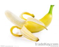 Hot!-Banana Juice Powder-good flavor-High quality-GMO Free