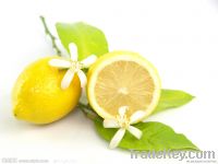 Lemon Powder-Good flavor-100% natural-free sample-GMO free