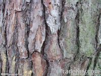 Pine Bark Extract Powder, 95% Proanthocyanidins UV, Non-GMO, Halal