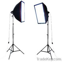 Sell 2 x 125W Professional Photographic Studio Softbox Light Lighting