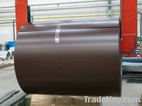 Sell galvanized color steel coils