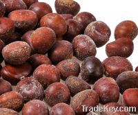 Sell high quality frozen chestnut kernel