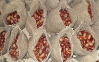 2014 Organic Chinese Fresh Bulk Chestnuts from Shenli