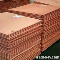 Copper Scraps Suppliers | Copper Scrap Exporters | Copper Scrap Manufacturers | Cheap Copper Scrap | Wholesale Copper Scraps | 99.99% Copper Wire Scrap| Millberry Copper Scrap | Cheap Copper Scrap | High Purity Copper Scrap | Bulk Copper Scraps | Copper S