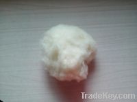 Sell wool fiber/ wool top