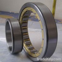 Sell SKF RNU 205, RNU 305, RNU 1006, single row cylindrical roller bearing