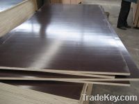 Competitive price Film faced plywood for sale