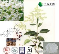 Sell Ligustrum lucidum extract, 98% Oleanolic acid