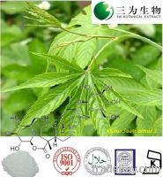 Sell Sweet tea leaf extract, 70% Rubusoside