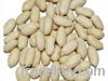 China New Crop Raw Blanched Peanut Kernels