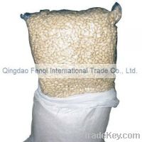 China Raw Blanched Peanut Kernels with High Quality