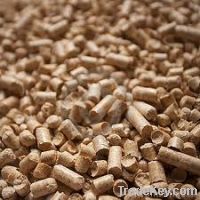 Wood Briquette