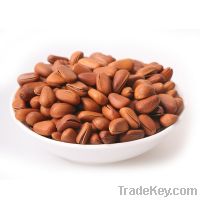 Pine nut