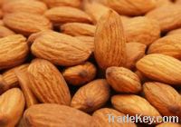SELL Raw Almond