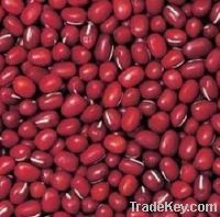 supply  Red  Kidney Beans