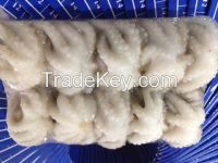 SELL FROZEN BABY OCTOPUS