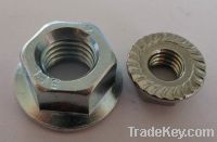 Sell DIN6923 Flange nuts with ISO16949 approval