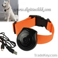 Sell New Mini Pet Camera Dog Cat Collar Video Camera Pet's Eyes Auto I