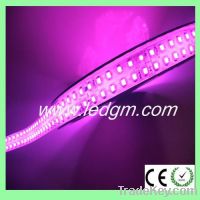 smd 3528 led strip light 120leds/m