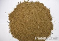 Sell fish meal 70%